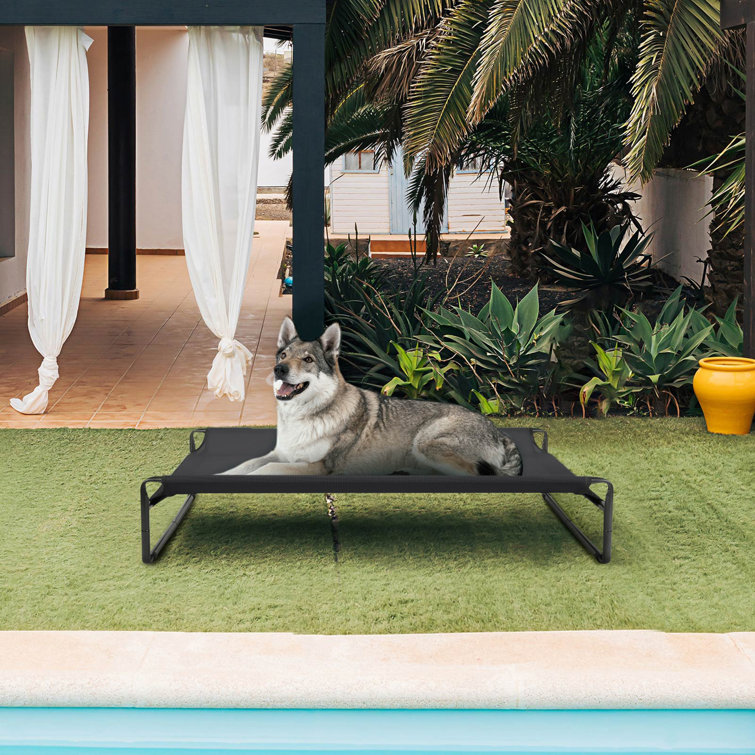 B and m sales dog sun loungers